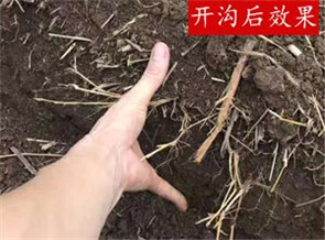 開溝機開溝結果澳门四不像正版论坛超准资料精准下载