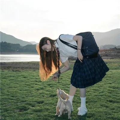 芒洛医生第二季